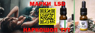 стаф Новозыбков