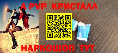 СК Новодвинск