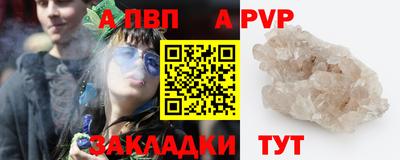 СК Новодвинск