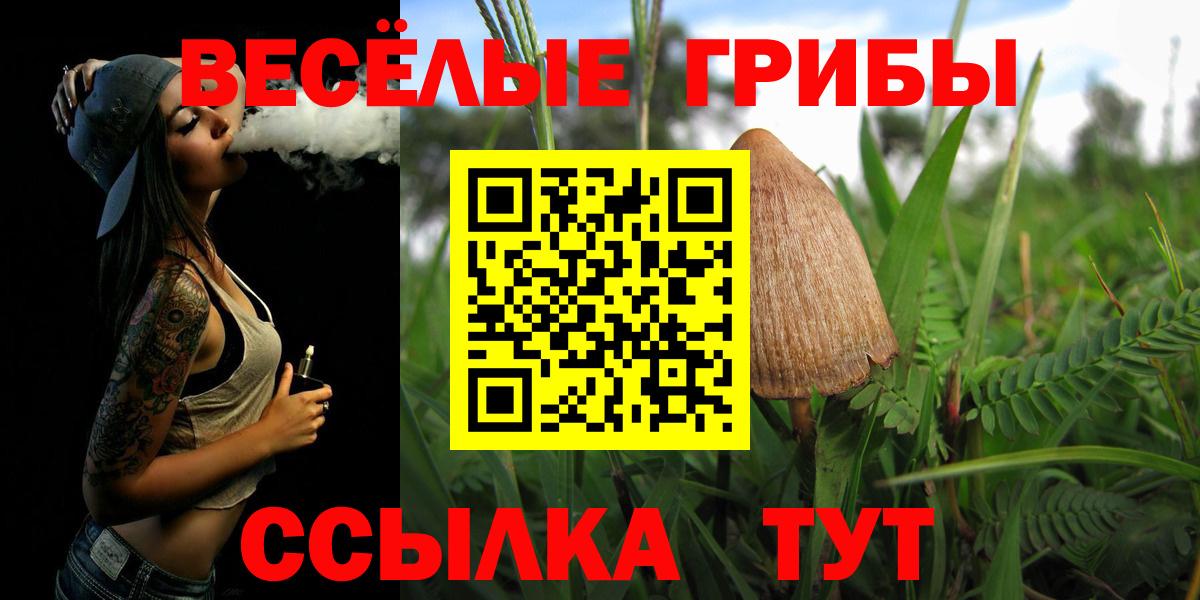 Псилоцибиновые грибы мухоморы  цены   Чайковский  Вход с VPN 
